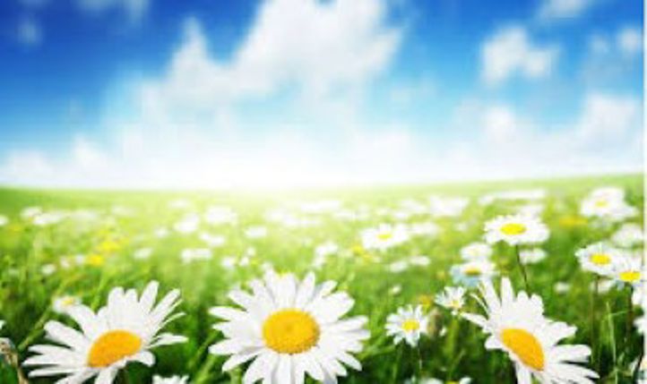 sommer